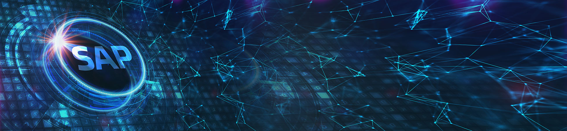 SAP SOLUTIONS CONSULTING